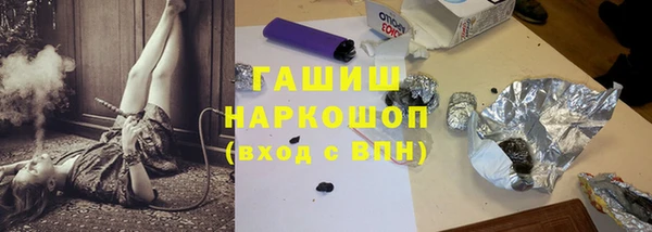 хмурый Алексин