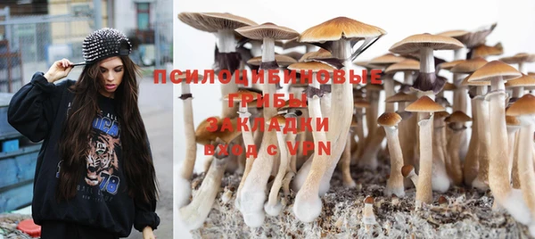 гидра Абинск