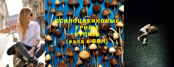 бошки Абдулино